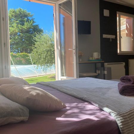 Chambre D'Hotes Vaucluse Bollène Esterno foto