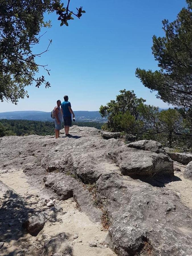 Chambre D'Hotes Vaucluse Bollène Esterno foto