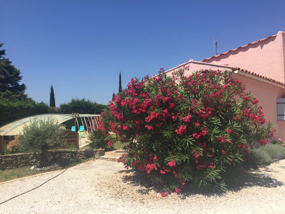 Chambre D'Hotes Vaucluse Bollène Esterno foto