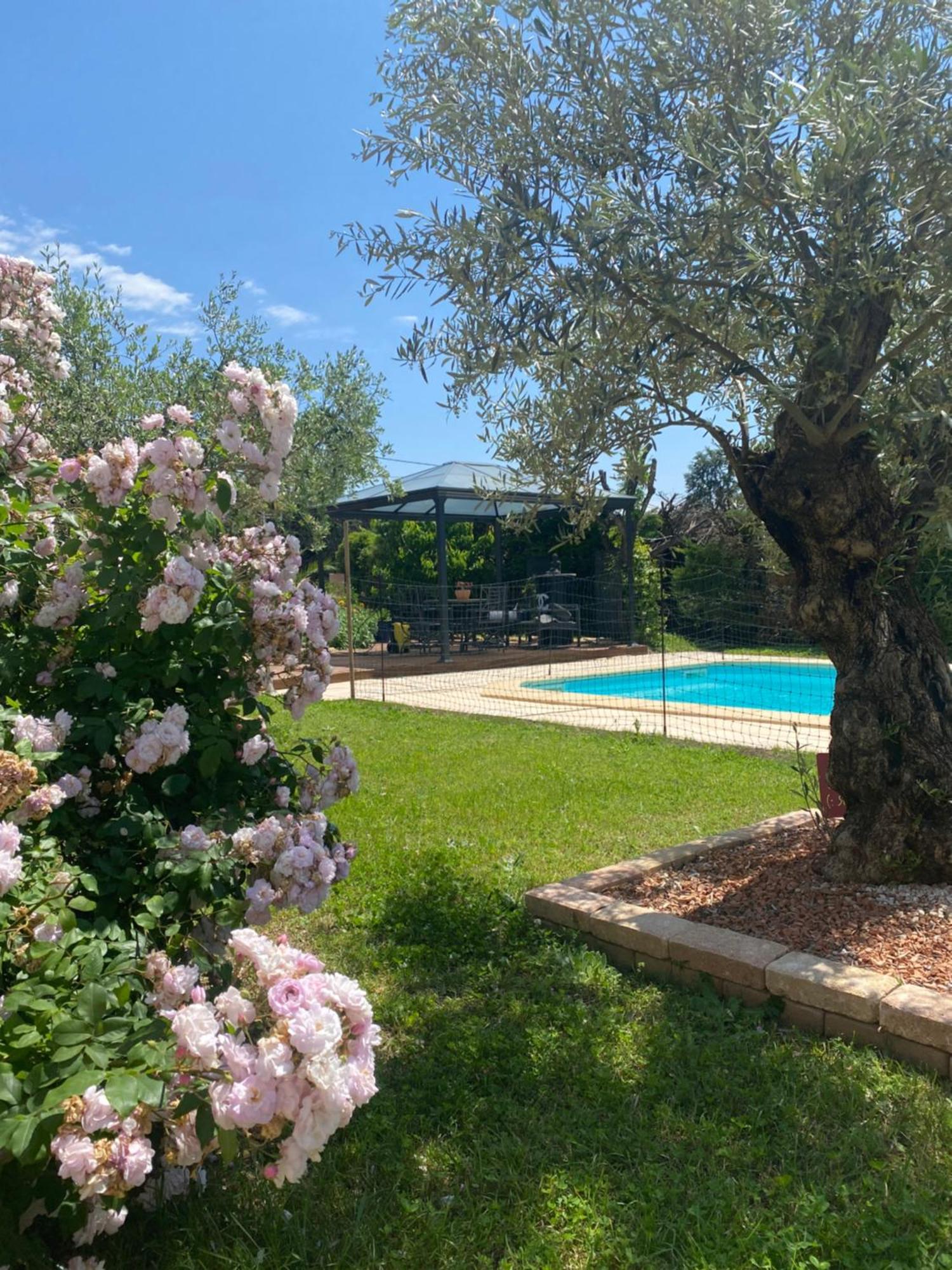 Chambre D'Hotes Vaucluse Bollène Esterno foto